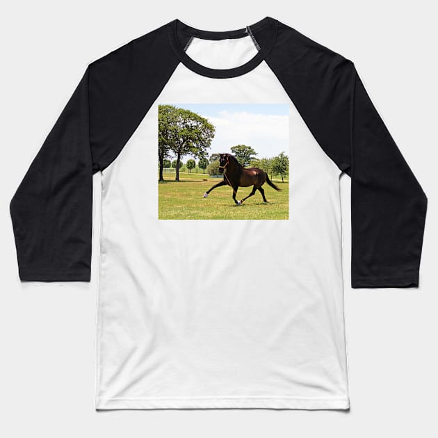 Watch Me Fly Baseball T-Shirt by BecauseofHorses